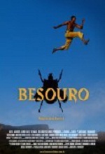 Capa - Besouro